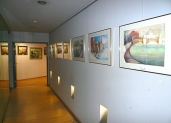 Ausstellung in Wien